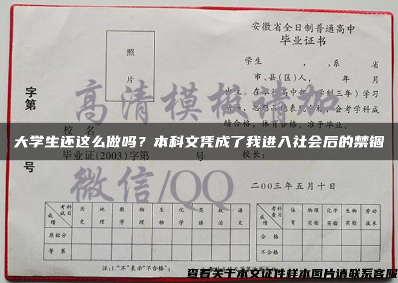 大学生还这么做吗？本科文凭成了我进入社会后的禁锢