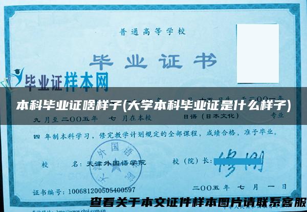 本科毕业证啥样子(大学本科毕业证是什么样子)