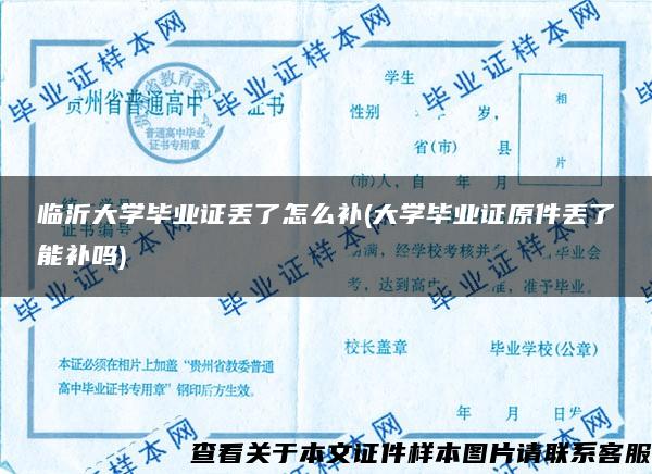 临沂大学毕业证丢了怎么补(大学毕业证原件丢了能补吗)