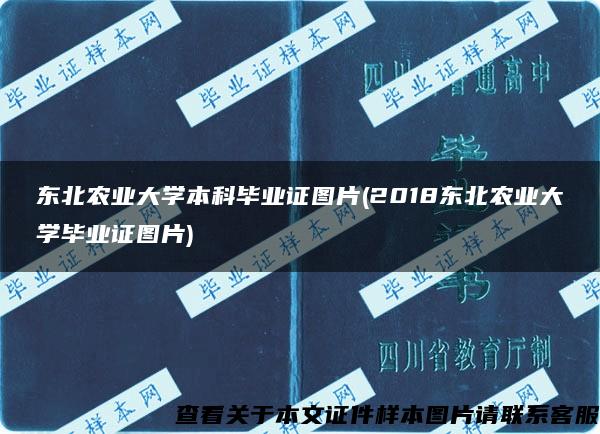 东北农业大学本科毕业证图片(2018东北农业大学毕业证图片)