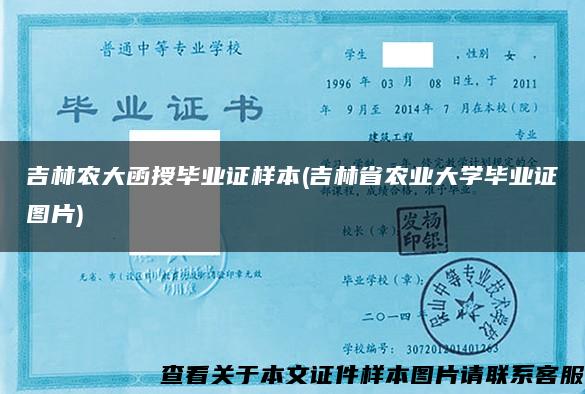 吉林农大函授毕业证样本(吉林省农业大学毕业证图片)