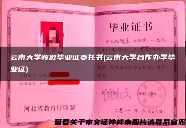 云南大学领取毕业证委托书(云南大学合作办学毕业证)