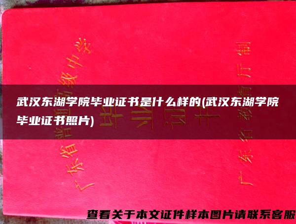 武汉东湖学院毕业证书是什么样的(武汉东湖学院毕业证书照片)