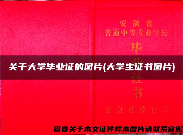 关于大学毕业证的图片(大学生证书图片)