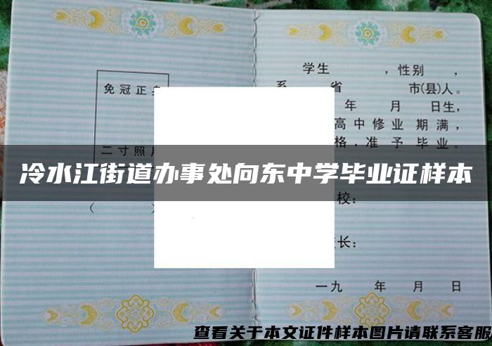 冷水江街道办事处向东中学毕业证样本