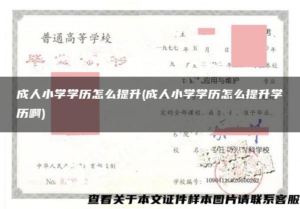 成人小学学历怎么提升(成人小学学历怎么提升学历啊)