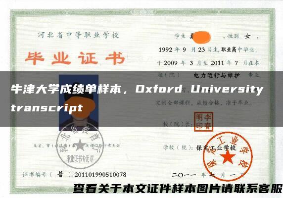 牛津大学成绩单样本，Oxford University transcript