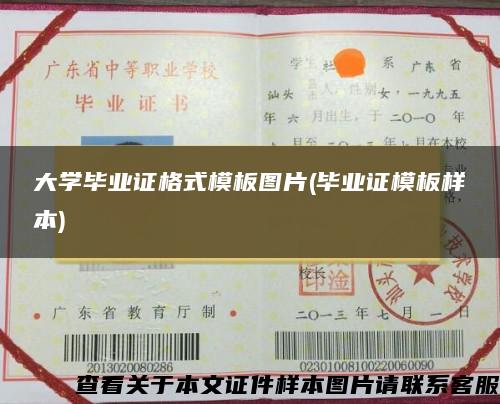 大学毕业证格式模板图片(毕业证模板样本)