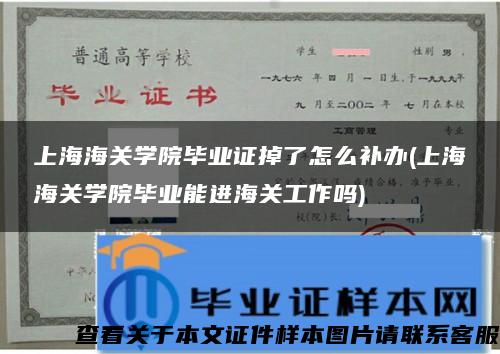 上海海关学院毕业证掉了怎么补办(上海海关学院毕业能进海关工作吗)