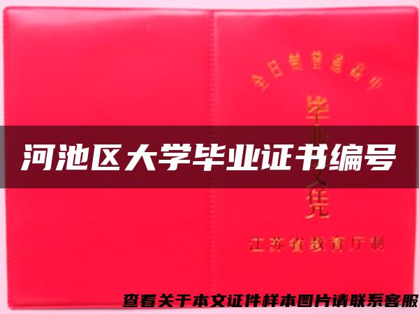 河池区大学毕业证书编号