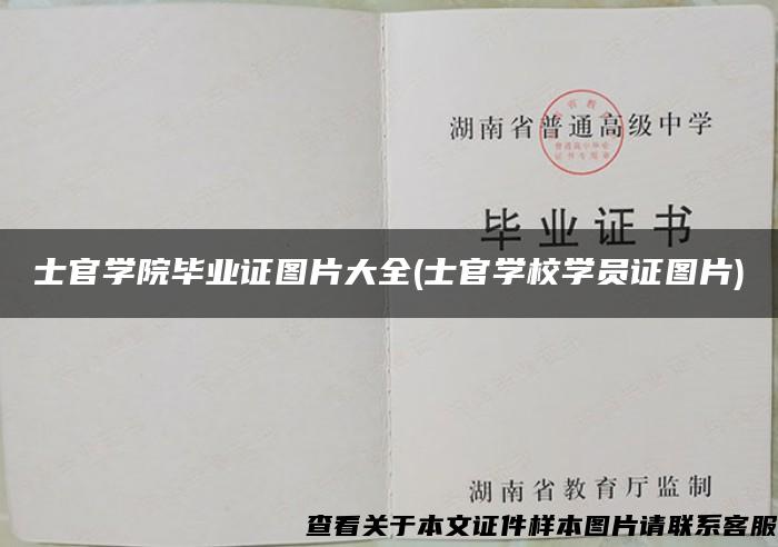 士官学院毕业证图片大全(士官学校学员证图片)