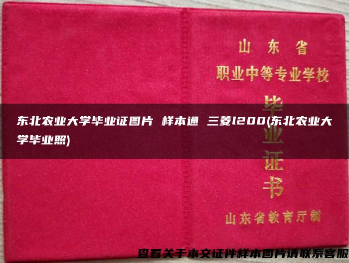 东北农业大学毕业证图片 样本通 三菱l200(东北农业大学毕业照)