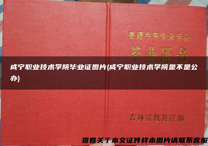 咸宁职业技术学院毕业证图片(咸宁职业技术学院是不是公办)