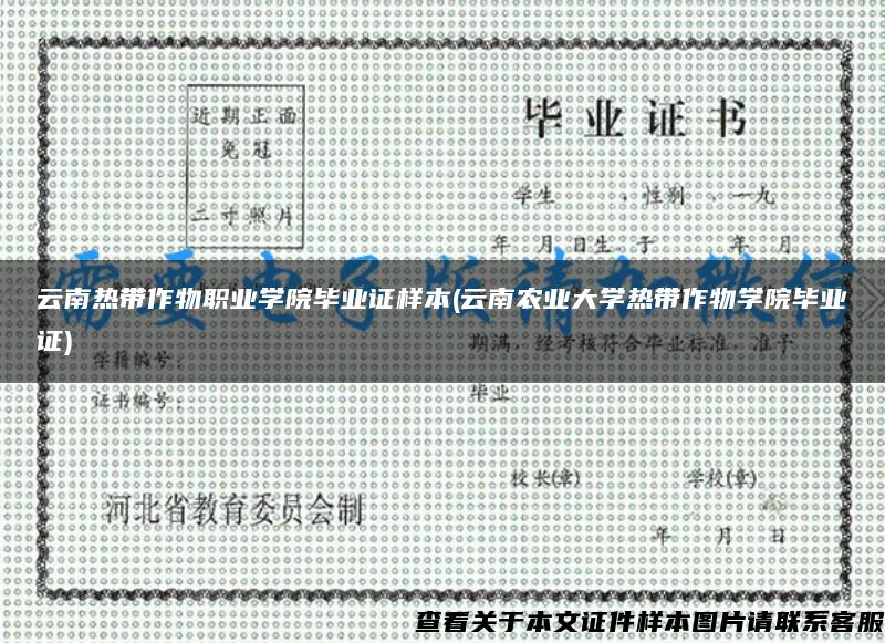 云南热带作物职业学院毕业证样本(云南农业大学热带作物学院毕业证)