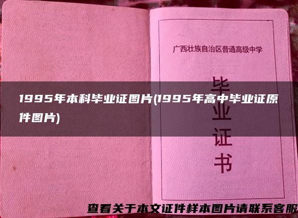 1995年本科毕业证图片(1995年高中毕业证原件图片)