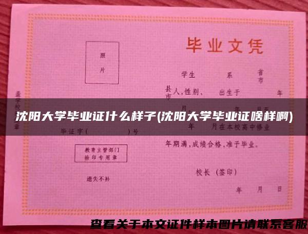 沈阳大学毕业证什么样子(沈阳大学毕业证啥样啊)