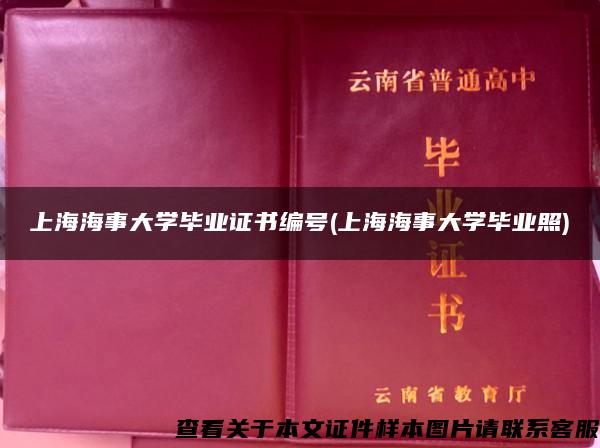 上海海事大学毕业证书编号(上海海事大学毕业照)