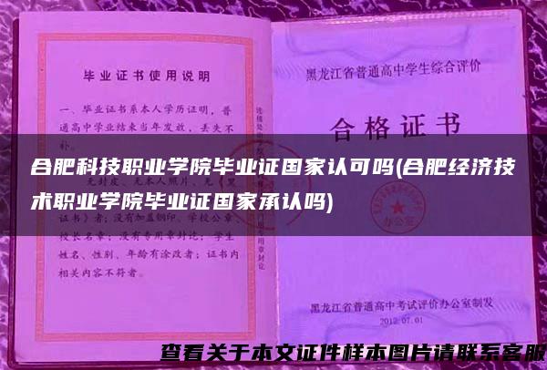 合肥科技职业学院毕业证国家认可吗(合肥经济技术职业学院毕业证国家承认吗)