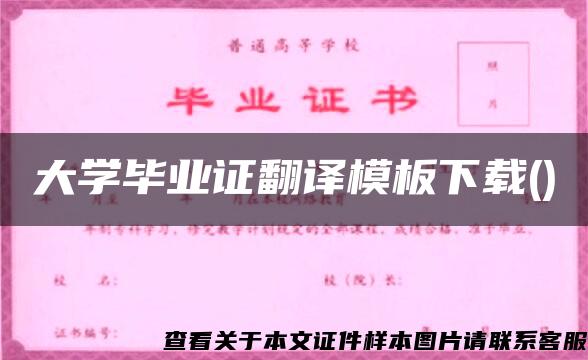 大学毕业证翻译模板下载()