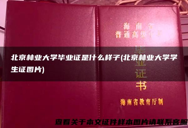 北京林业大学毕业证是什么样子(北京林业大学学生证图片)