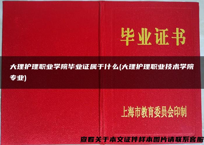 大理护理职业学院毕业证属于什么(大理护理职业技术学院专业)