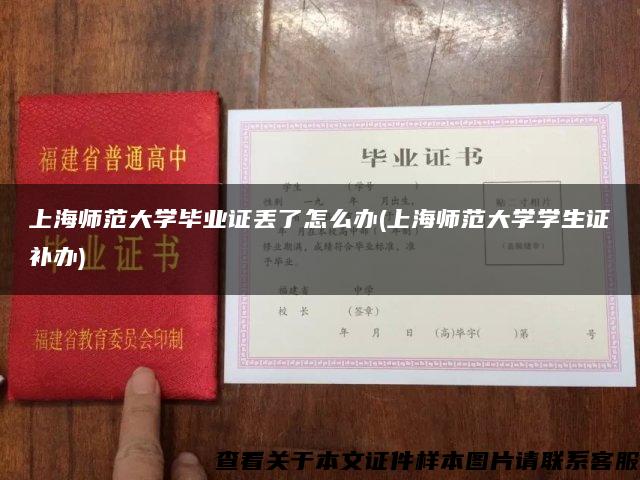 上海师范大学毕业证丢了怎么办(上海师范大学学生证补办)