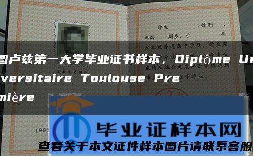 图卢兹第一大学毕业证书样本，Diplôme Universitaire Toulouse Première