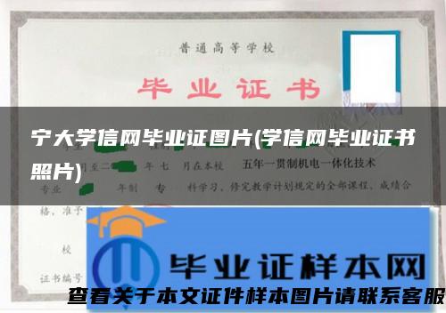 宁大学信网毕业证图片(学信网毕业证书照片)