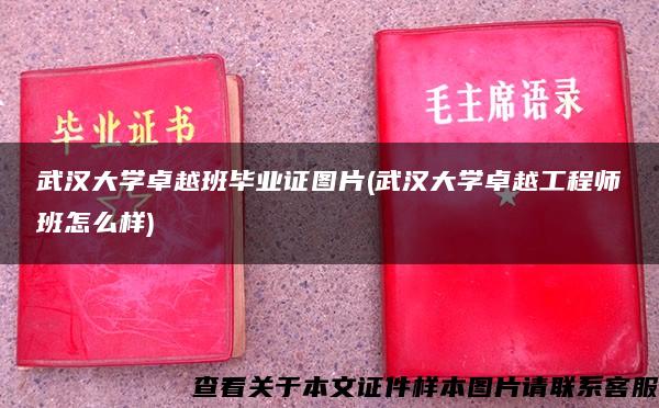 武汉大学卓越班毕业证图片(武汉大学卓越工程师班怎么样)