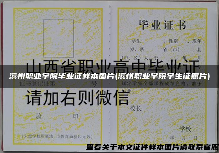 滨州职业学院毕业证样本图片(滨州职业学院学生证照片)