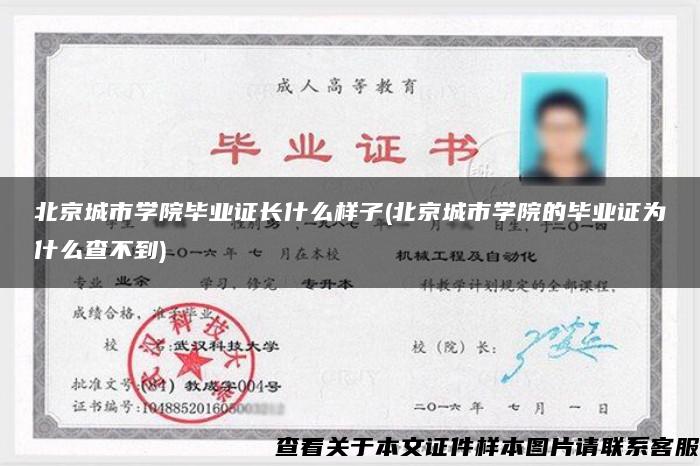 北京城市学院毕业证长什么样子(北京城市学院的毕业证为什么查不到)