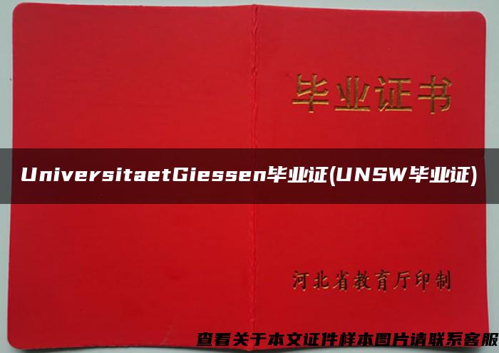 UniversitaetGiessen毕业证(UNSW毕业证)