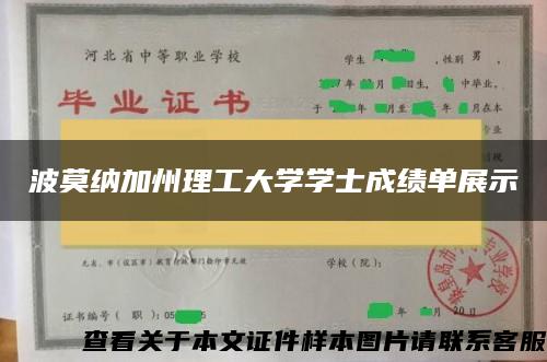 波莫纳加州理工大学学士成绩单展示