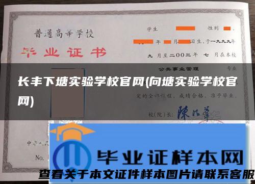 长丰下塘实验学校官网(向塘实验学校官网)