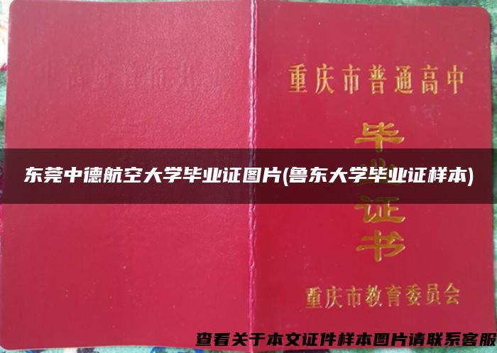 东莞中德航空大学毕业证图片(鲁东大学毕业证样本)