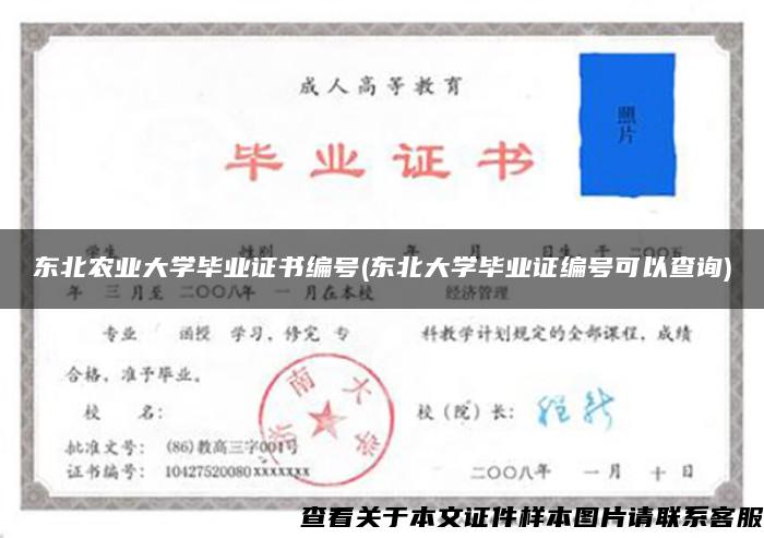 东北农业大学毕业证书编号(东北大学毕业证编号可以查询)