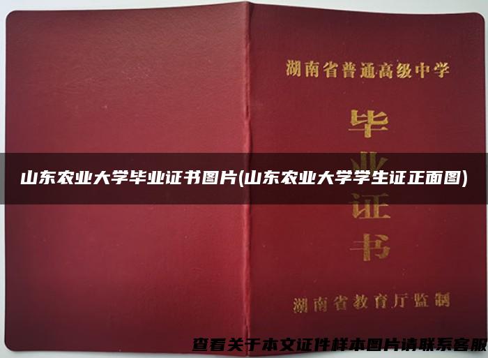 山东农业大学毕业证书图片(山东农业大学学生证正面图)