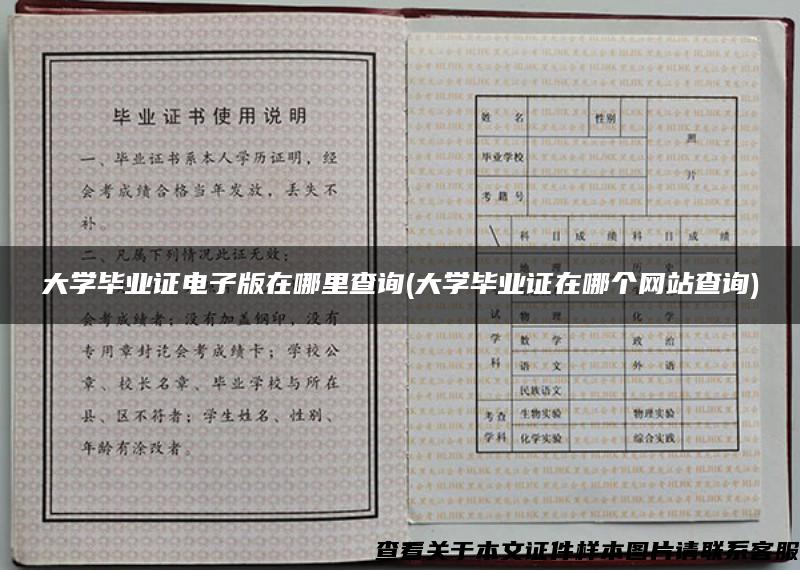 大学毕业证电子版在哪里查询(大学毕业证在哪个网站查询)