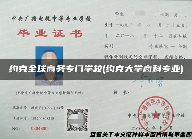 约克全球商务专门学校(约克大学商科专业)