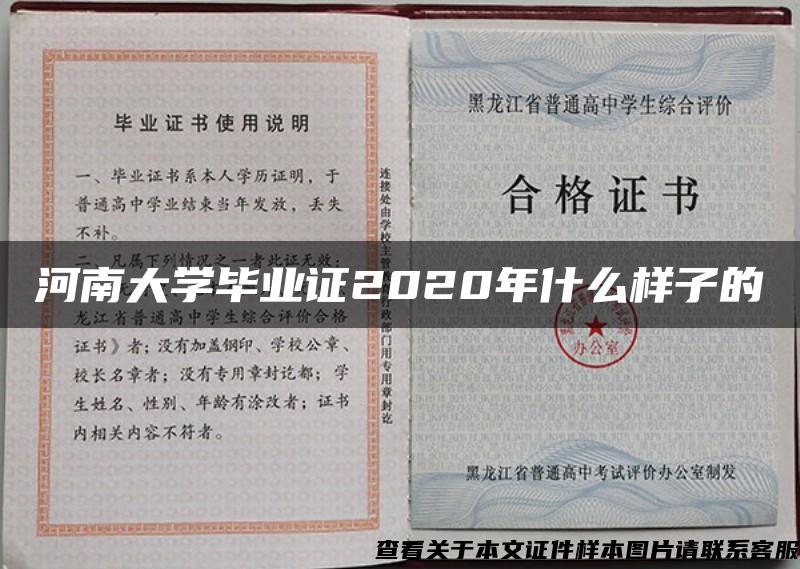 河南大学毕业证2020年什么样子的