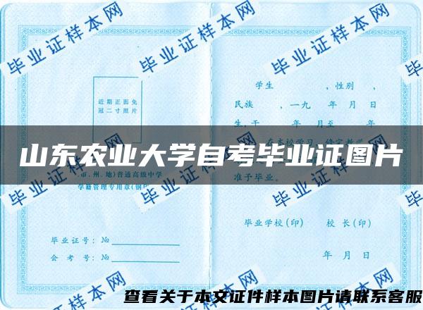 山东农业大学自考毕业证图片