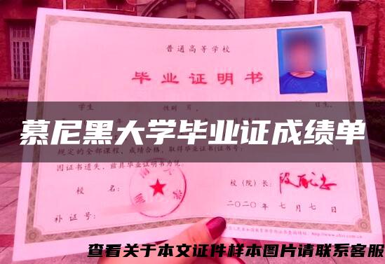 慕尼黑大学毕业证成绩单