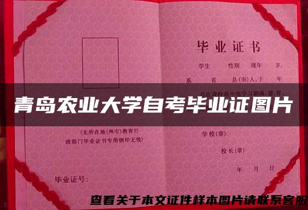 青岛农业大学自考毕业证图片