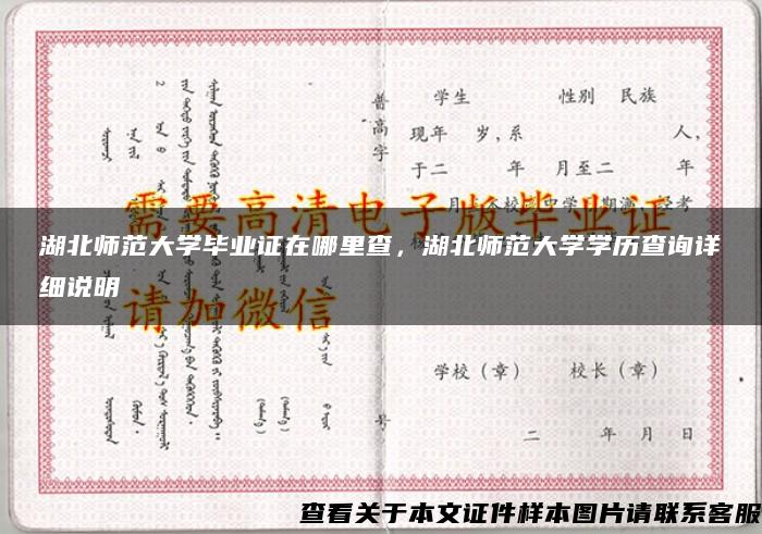 湖北师范大学毕业证在哪里查，湖北师范大学学历查询详细说明