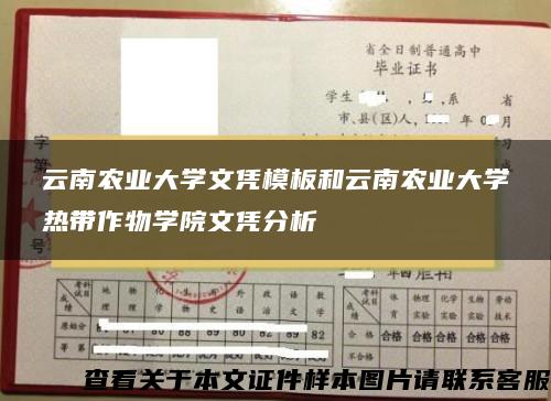 云南农业大学文凭模板和云南农业大学热带作物学院文凭分析