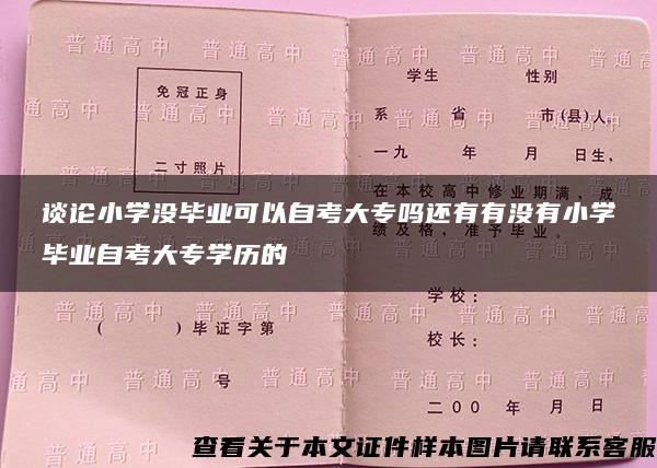 谈论小学没毕业可以自考大专吗还有有没有小学毕业自考大专学历的