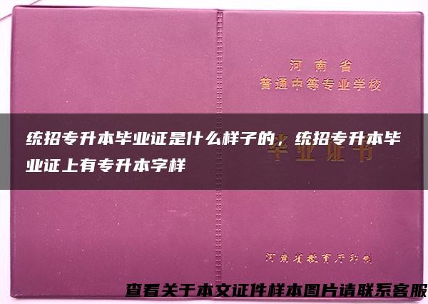 统招专升本毕业证是什么样子的，统招专升本毕业证上有专升本字样