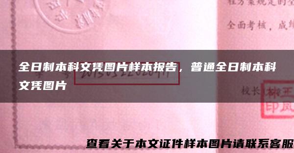 全日制本科文凭图片样本报告，普通全日制本科文凭图片