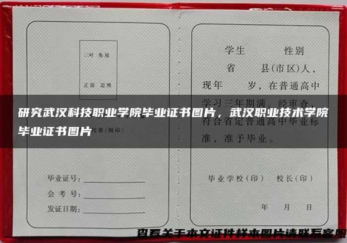 研究武汉科技职业学院毕业证书图片，武汉职业技术学院毕业证书图片