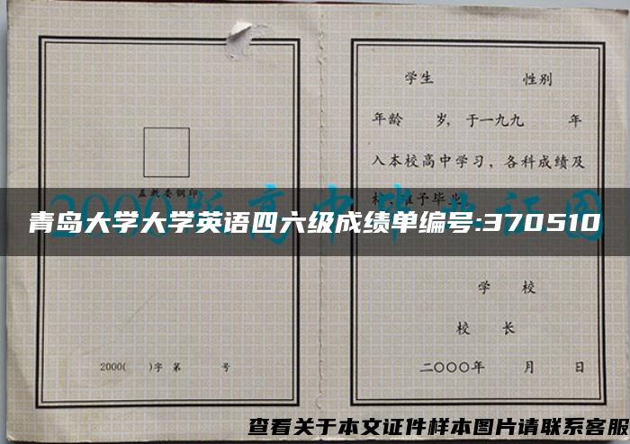 青岛大学大学英语四六级成绩单编号:370510